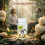Hericium Complex Plus - Integratore Funzioni Cognitive e Benessere Digestivo