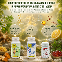Protocollo-Infiammazioni-Benessere-Articolare-integratori