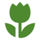 Estratti vegetali